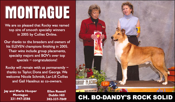 Ch. Bo-Dandy's Rock Solid