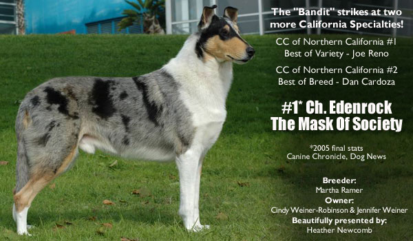 Ch. Edenrock The Mask Of Society