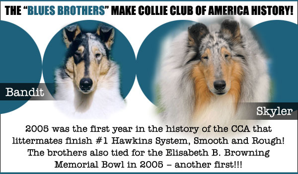 Edenrock/Ginger Williams -- The Blues Brothers