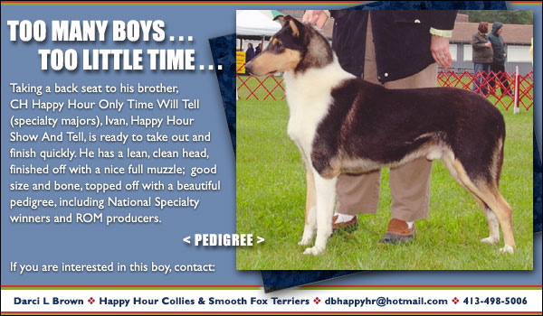 Happy Hour Collies & Smooth Fox Terriers