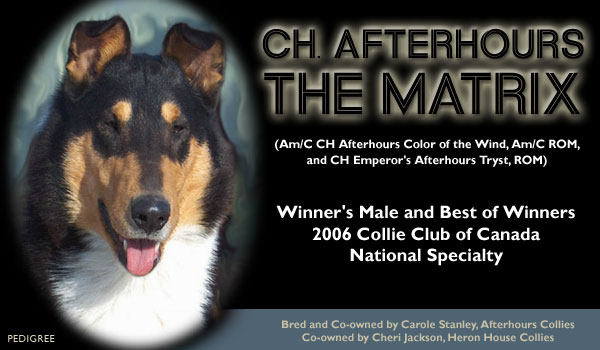 Afterhours and Heron House -- CH Afterhours The Matrix