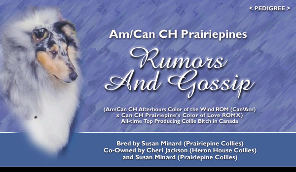 HeronHouse/Prairiepine -- A/C Ch. Prairiepines Rumors And Gossip