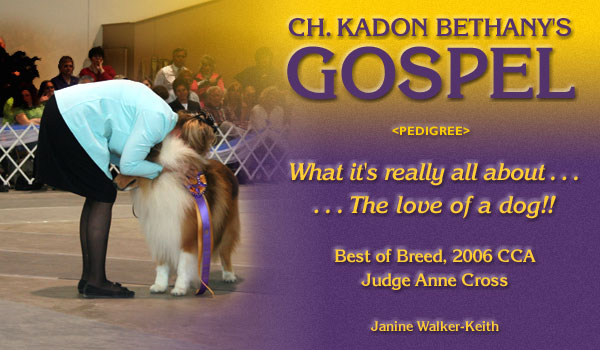 Bethany, Incandescent, Kadon -- Ch. Kadon Bethany's Gospel