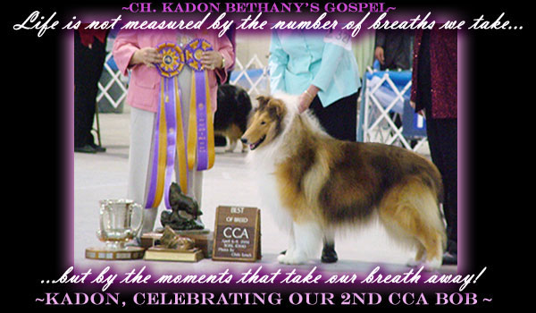 Kadon -- Ch. Kadon Bethany's Gospel