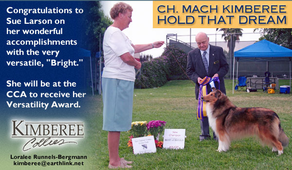 Ch. MACH Kimberee Hold That Dream