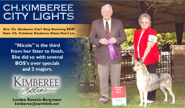 Kimberee -- Ch. Kimberee City Lights