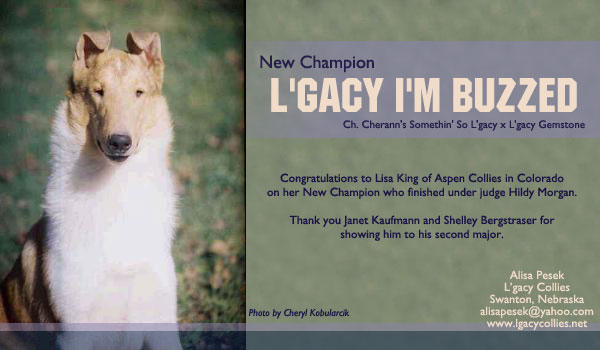 Ch. L'gacy I'm Buzzed