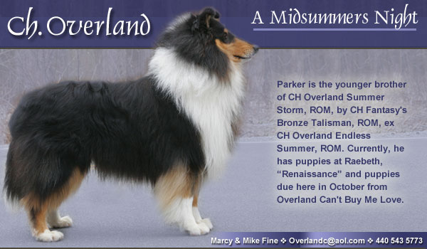 Ch. Overland A Midsummers Night