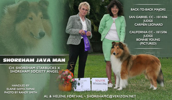 Shoreham -- Shoreham Java Man