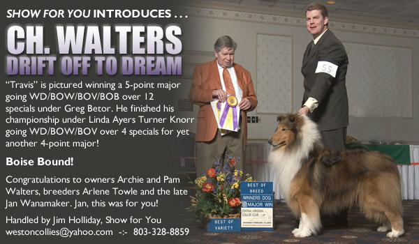 Show For You -- Ch. Walters Drift Off To Dream