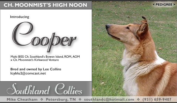 Ch. Moonmist's High Noon