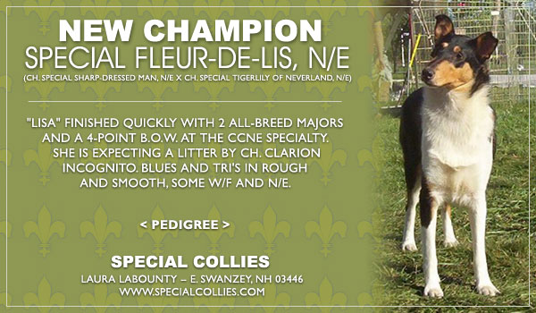 Ch. Special Fleur-De-Lis