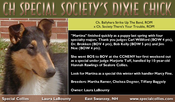 Special -- CH Special Society's Dixie Chick