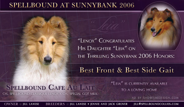 Spellbound Cafe Au Lait