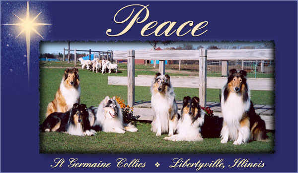 St Germaine Collies