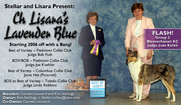 Stellar and Lisara -- Ch. Lisara's Lavender Blue