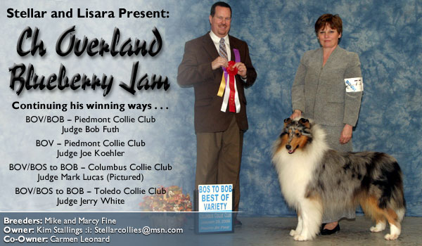 Stellar and Lisara -- Ch. Overland Blueberry Jam