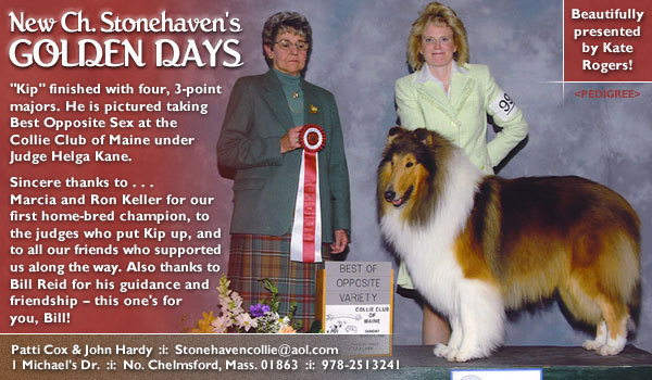 Ch. Stonehaven's Golden Days