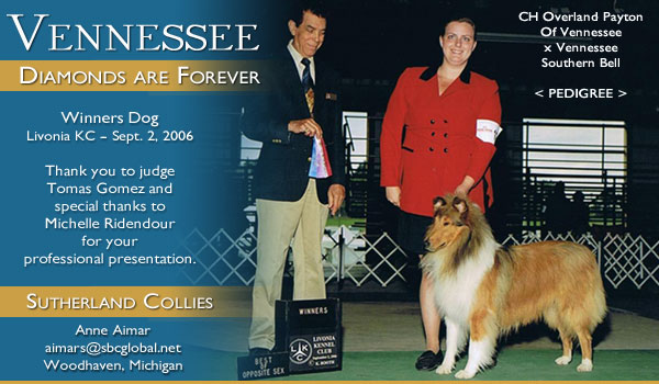 Sutherland Collies -- Vennessee Diamonds Are Forever