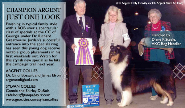 Argent Collies and Sylvan Collies -- CH Argent Just One Look