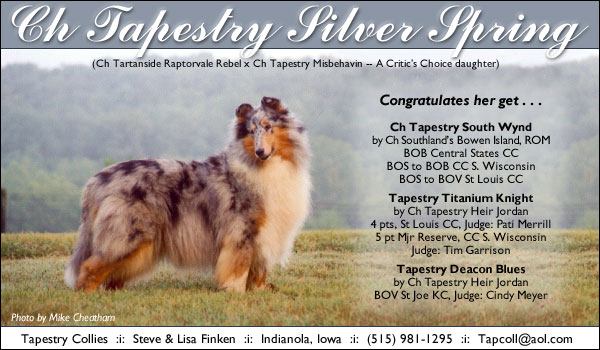 Ch. Tapestry Silver Spring