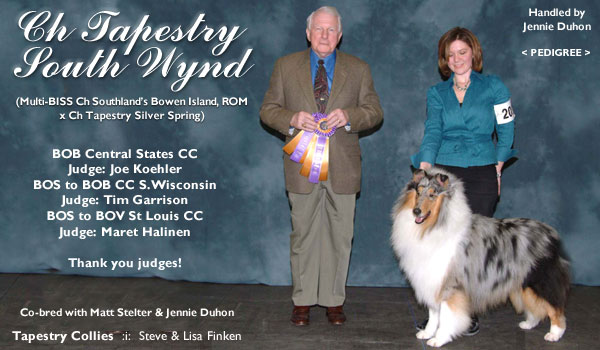 Ch. Tapestry South Wynd