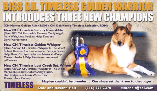 Timeless -- Ch. Timeless Golden Warrior