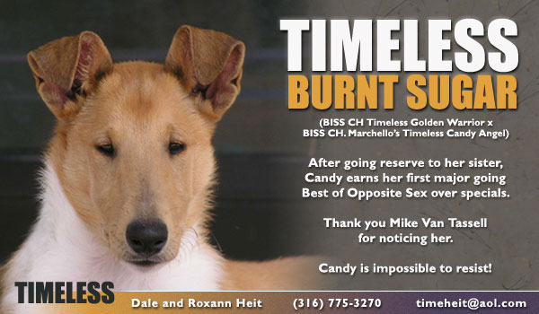 Timeless Burnt Sugar