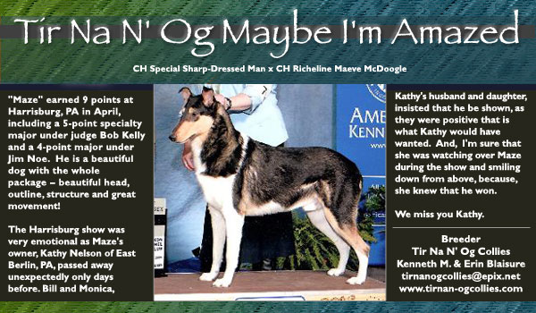 Tir Na N' Og -- Tir Na N' Og Maybe I'm Amazed