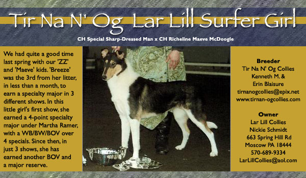 Tir Na N' Og/Lar Lill -- Tir Na N' Og Lar Lill Surfer Girl