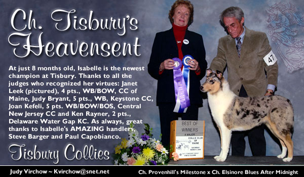 Tisbury -- Ch. Tisbury's Heavensent