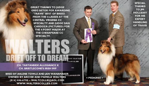 Walters Drift Off To Dream