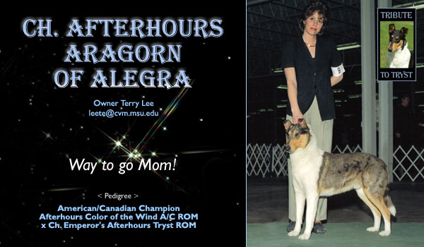 Afterhours -- CH Keltic Afterhours Interlude