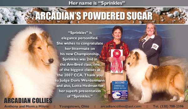 Arcadian -- Arcadian's Powdered Sugar