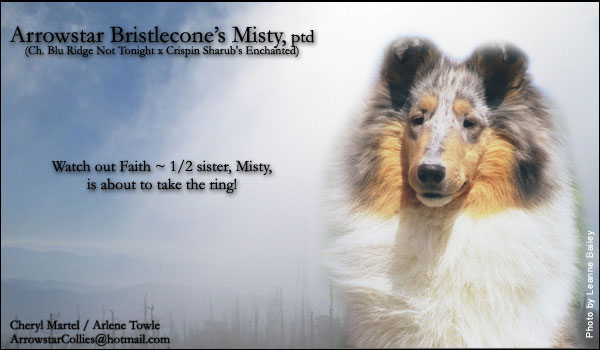 Arrowstar/Bristlecone -- Arrowstar Bristlecone's Misty