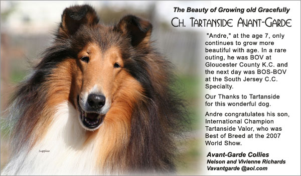 Avant-Garde -- CH Tartanside Avant-Garde