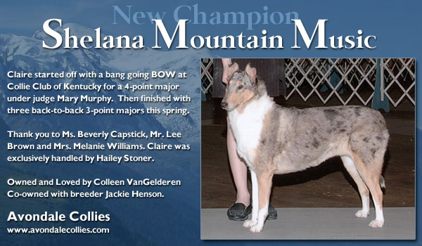 Avondale -- CH Shelana Mountain Music