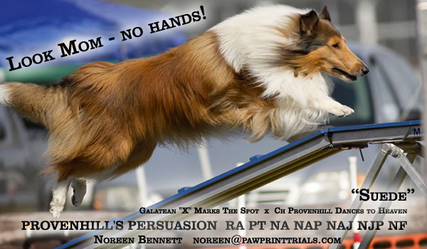 Noreen Bennett --Noreen Bennett -- Provenhill's Persuasion RA, PT, NA, NAP, NAJ, NJP, NF