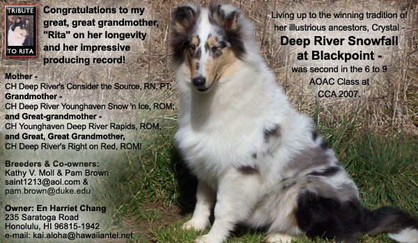 Blackpoint -- Deep River Snowfall at Blackpoint