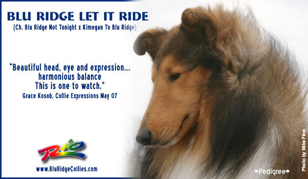 Blu Ridge -- Blu Ridge Let It Ride