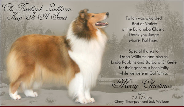 C & J Collies -- CH Rosebank Lochlaren Keep It A Secret