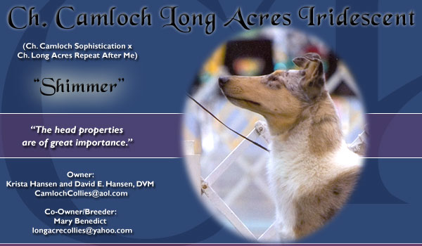 CH Camloch Long Acres Iridescent