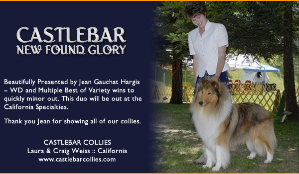 Castlebar -- Castlebar New Found Glory