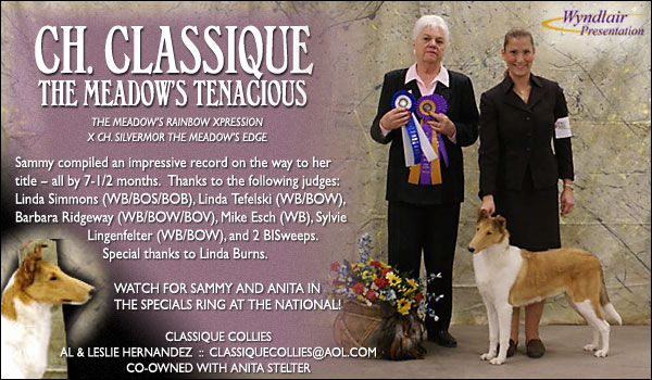 Classique -- CH Classique The Meadow's Tenacious