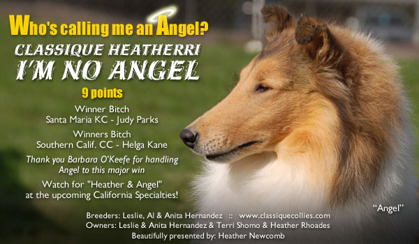 Classique / Heatherri -- Classique Heatherri I'm No Angel