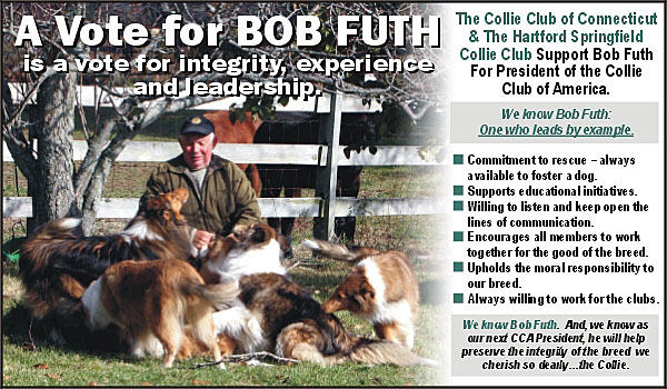 Connecticut Collie Clubs -- Bob Futh: Candidate for CCA President
