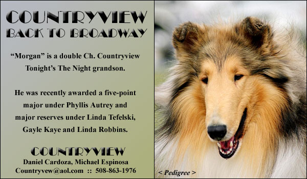 Countryview -- Countryview Back To Broadway