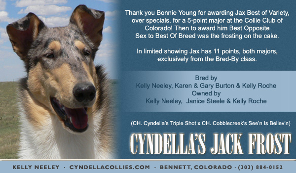 Cyndella -- Cyndella's Jack Frost