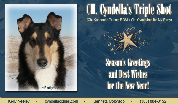 Cyndella -- CH Cyndella's Triple Shot Cyndella -- CH Cyndella's Triple Shot 