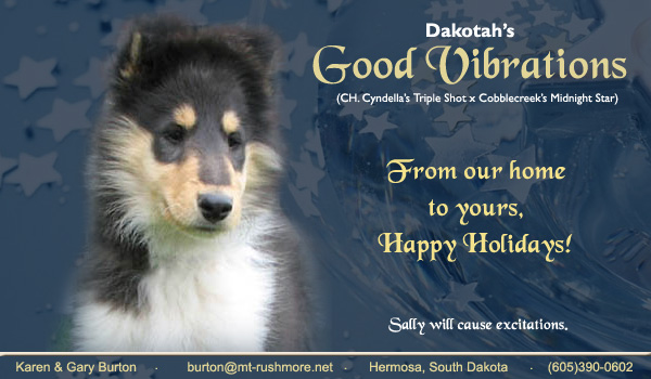 Dakotah -- Dakota's Good Vibrations